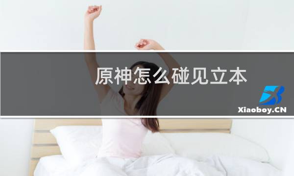 原神怎么碰见立本