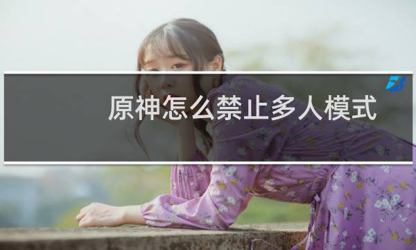 原神怎么禁止多人模式