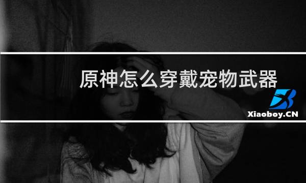 原神怎么穿戴宠物武器