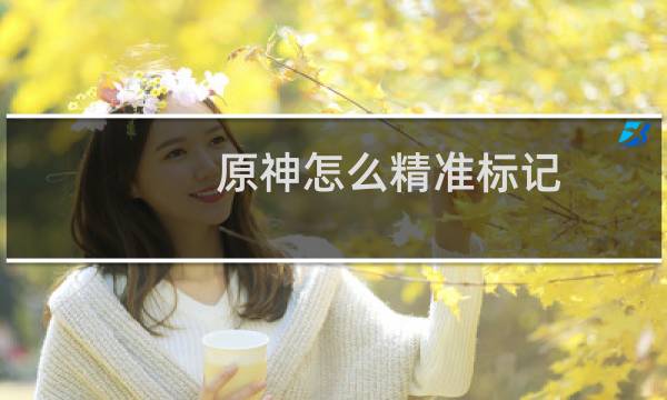 原神怎么精准标记