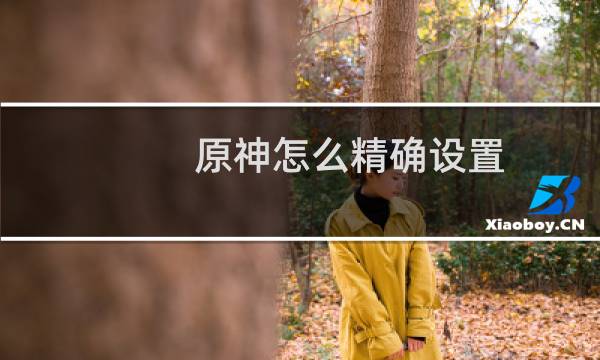 原神怎么精确设置