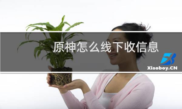原神怎么线下收信息