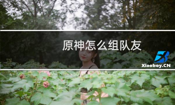 原神怎么组队友