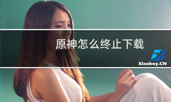 原神怎么终止下载