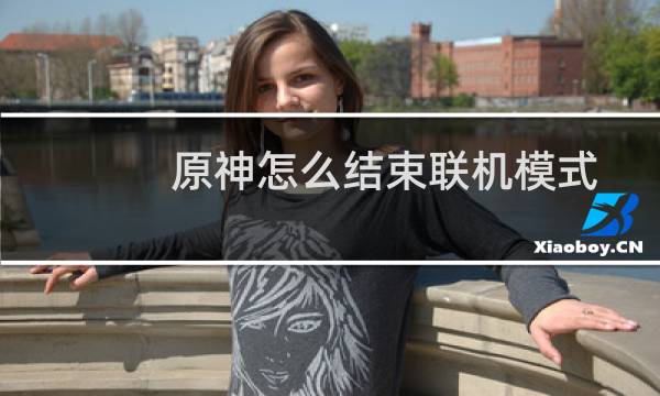 原神怎么结束联机模式
