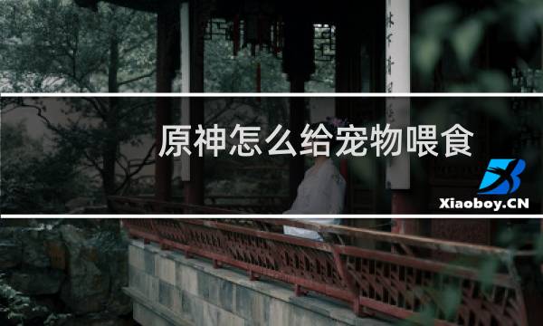 原神怎么给宠物喂食
