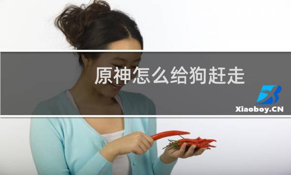 原神怎么给狗赶走