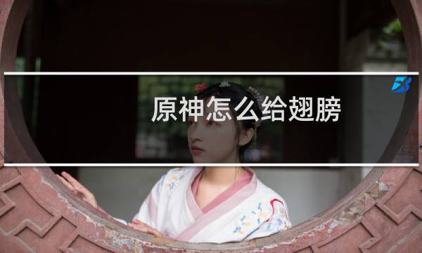 原神怎么给翅膀