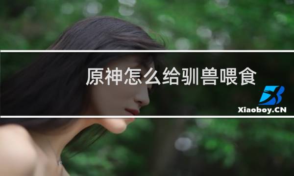原神怎么给驯兽喂食