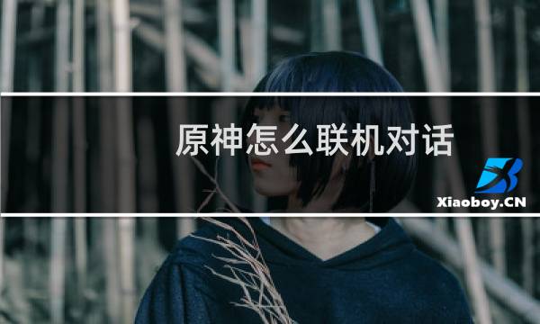 原神怎么联机对话