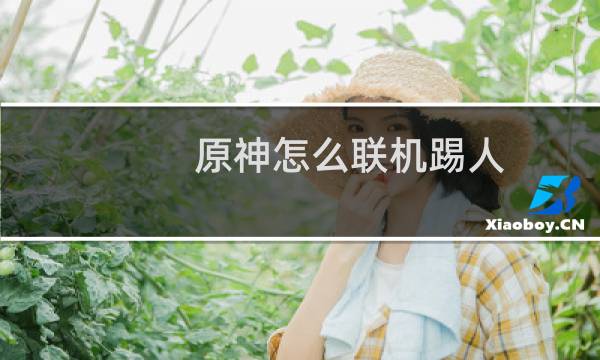 原神怎么联机踢人