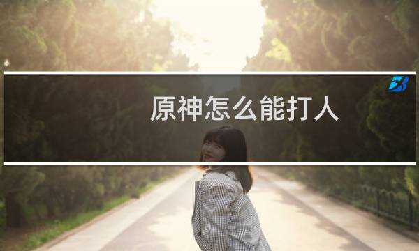 原神怎么能打人