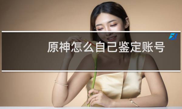 原神怎么自己鉴定账号