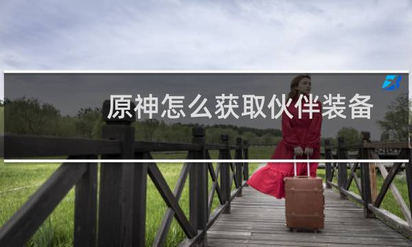 原神怎么获取伙伴装备