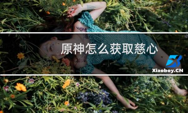 原神怎么获取慈心