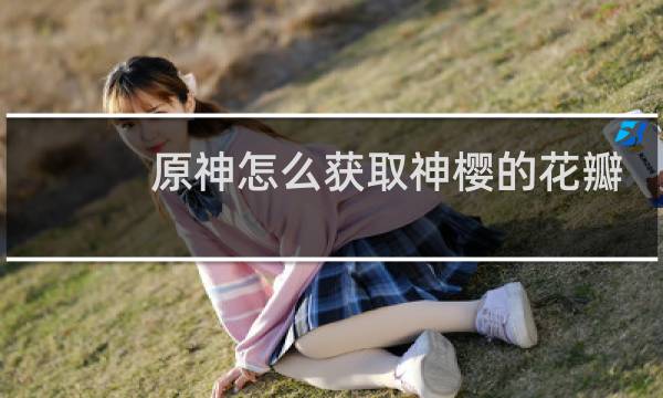 原神怎么获取神樱的花瓣