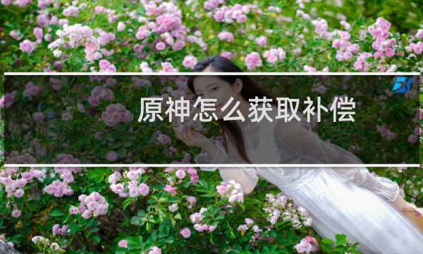 原神怎么获取补偿