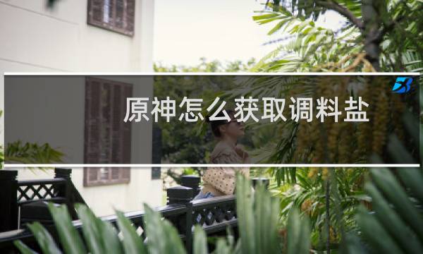 原神怎么获取调料盐