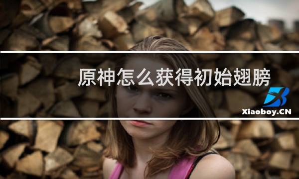 原神怎么获得初始翅膀