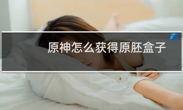 原神怎么获得原胚盒子