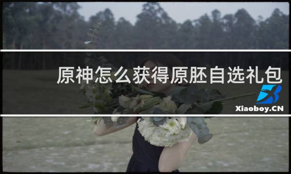 原神怎么获得原胚自选礼包