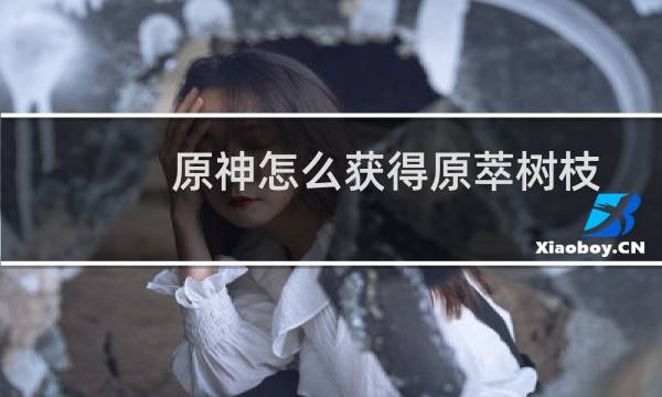 原神怎么获得原萃树枝