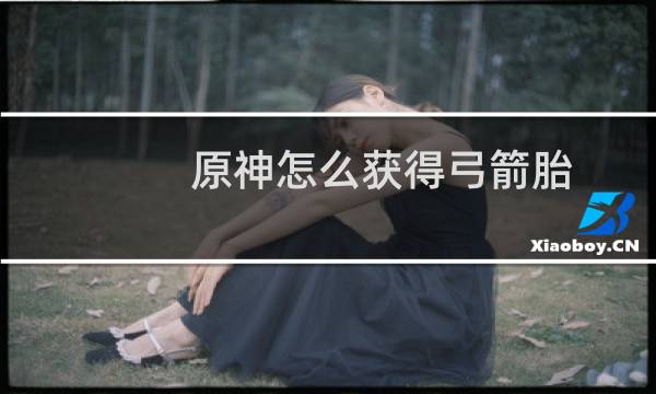 原神怎么获得弓箭胎