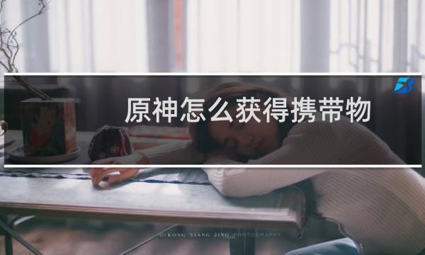 原神怎么获得携带物