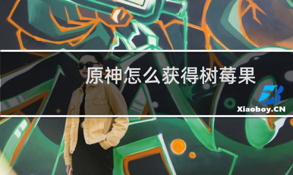 原神怎么获得树莓果