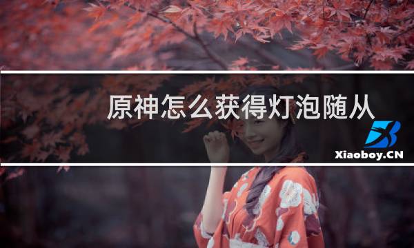 原神怎么获得灯泡随从
