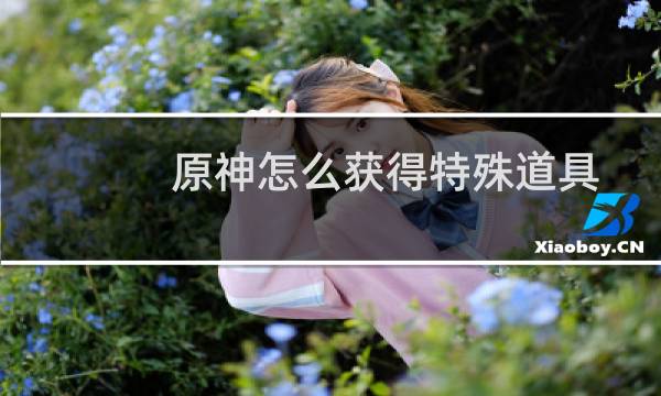 原神怎么获得特殊道具