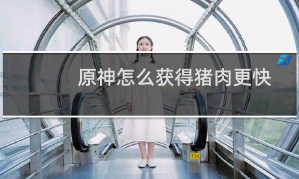 原神怎么获得猪肉更快