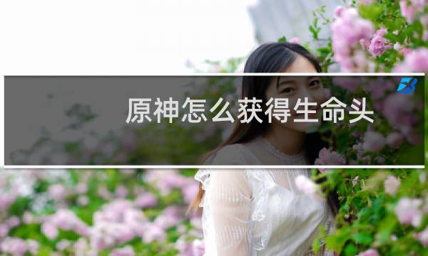 原神怎么获得生命头