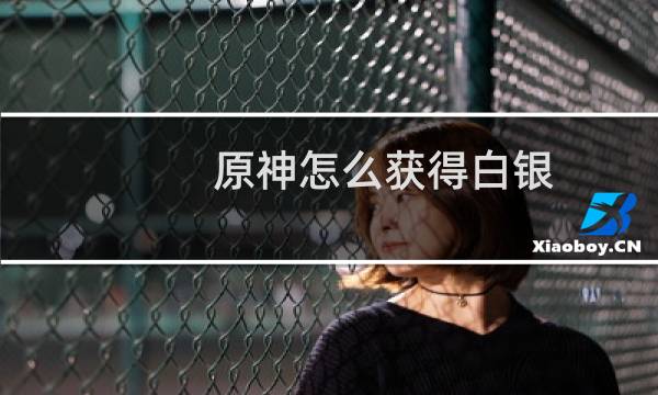 原神怎么获得白银
