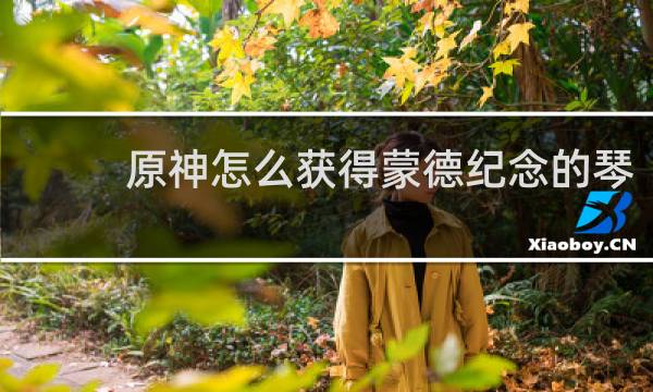 原神怎么获得蒙德纪念的琴