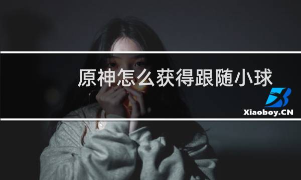 原神怎么获得跟随小球