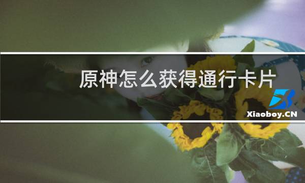 原神怎么获得通行卡片