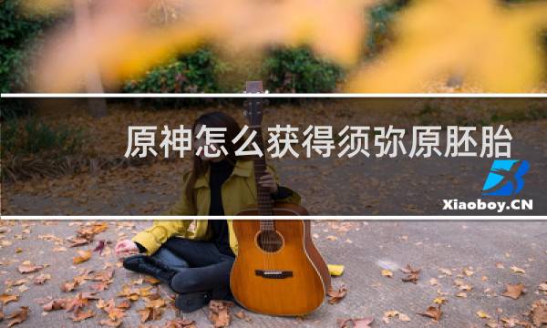 原神怎么获得须弥原胚胎