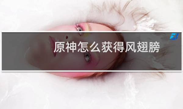 原神怎么获得风翅膀