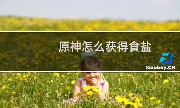 原神怎么获得食盐