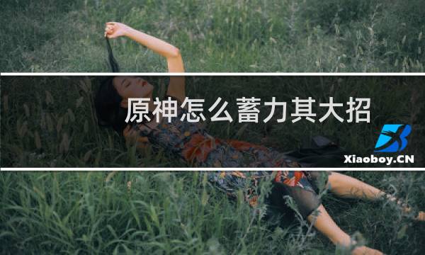 原神怎么蓄力其大招