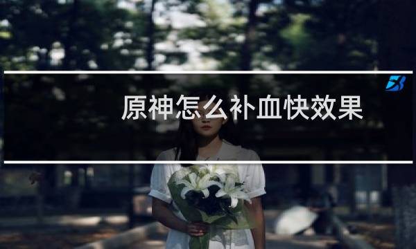 原神怎么补血快效果