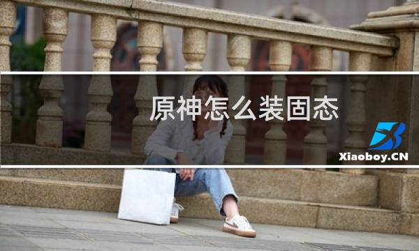原神怎么装固态
