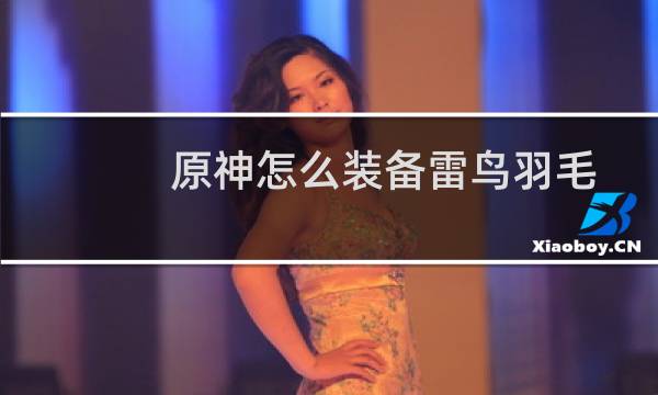 原神怎么装备雷鸟羽毛