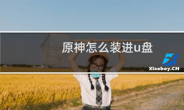 原神怎么装进u盘