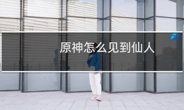 原神怎么见到仙人