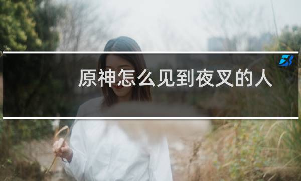 原神怎么见到夜叉的人