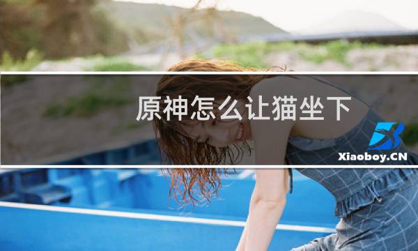 原神怎么让猫坐下