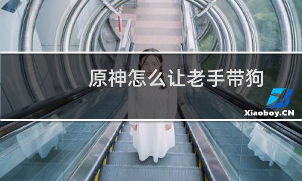原神怎么让老手带狗