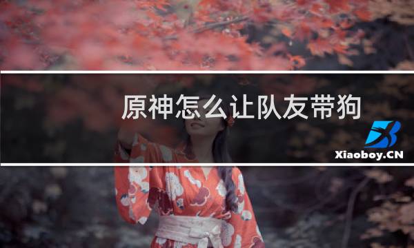 原神怎么让队友带狗